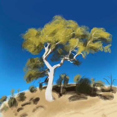 Plein Air 4